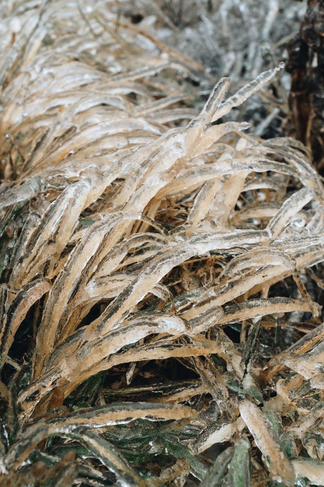 Photograph by Александр Кулаков