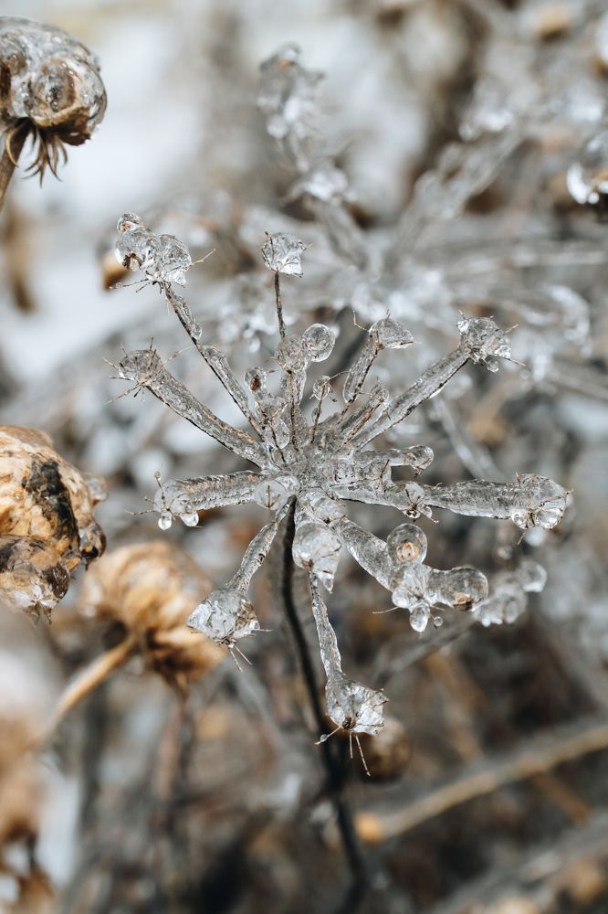Photograph by Александр Кулаков