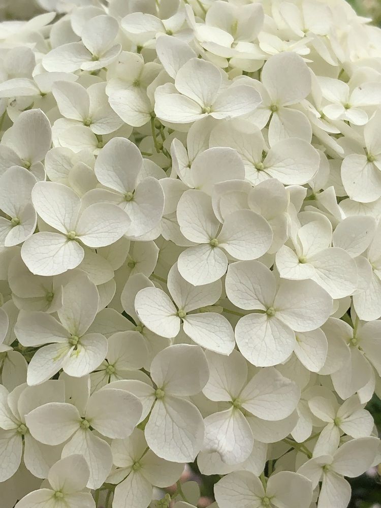 Фотография автора Евгения Елисеева