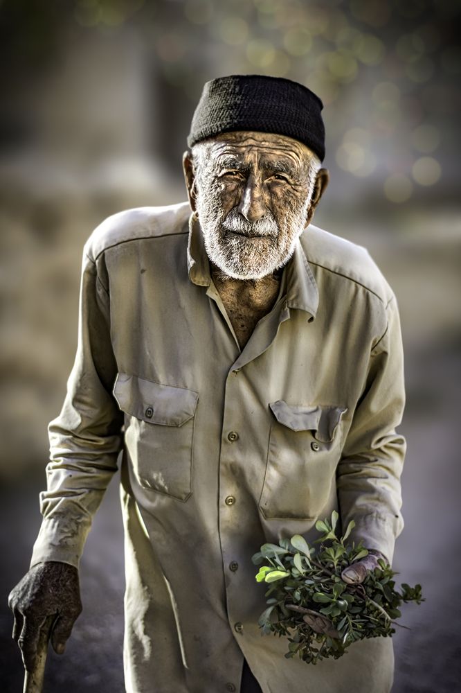 Photograph by ali naghmachi