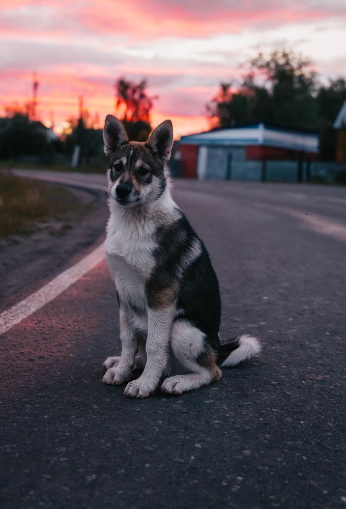 Фотография автора Яврова Татьяна