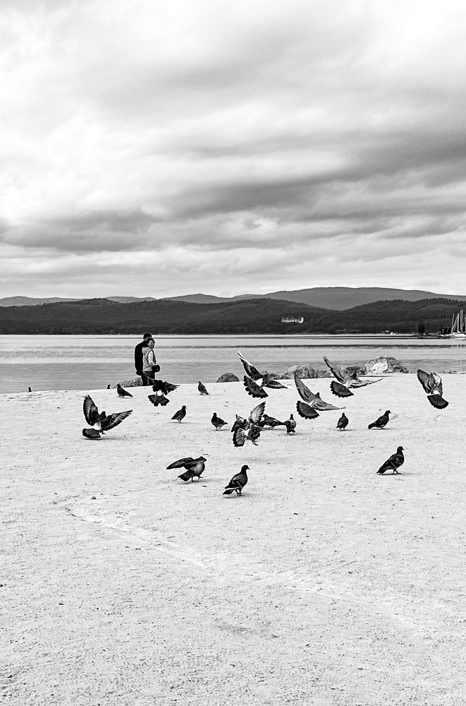 Photograph by Екатерина Целовальникова