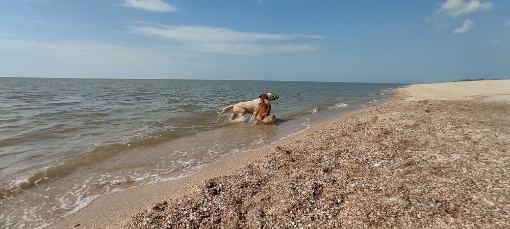 Photograph by наталья залогина