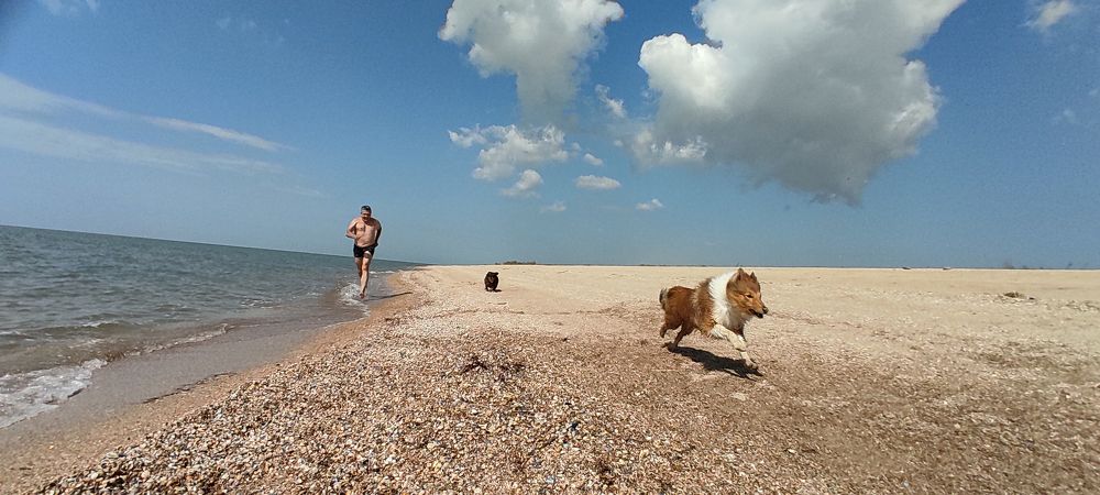 Photograph by наталья залогина