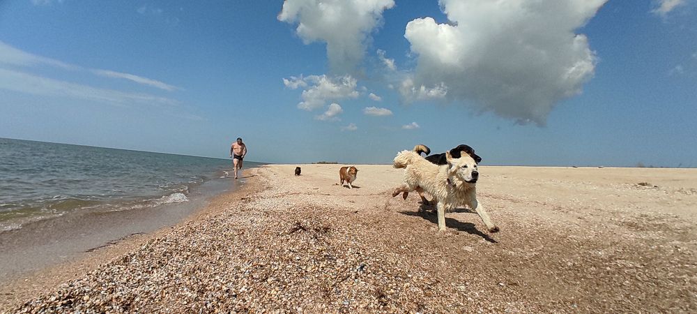 Photograph by наталья залогина