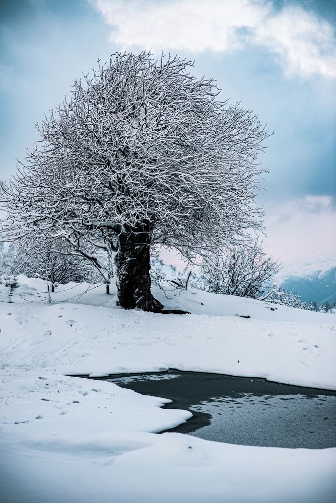 Фотография автора Jalal Ibrahim