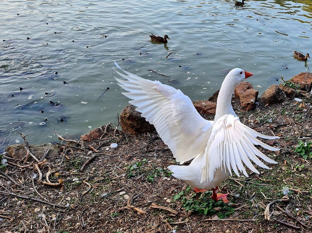 Photograph by Nadzeya