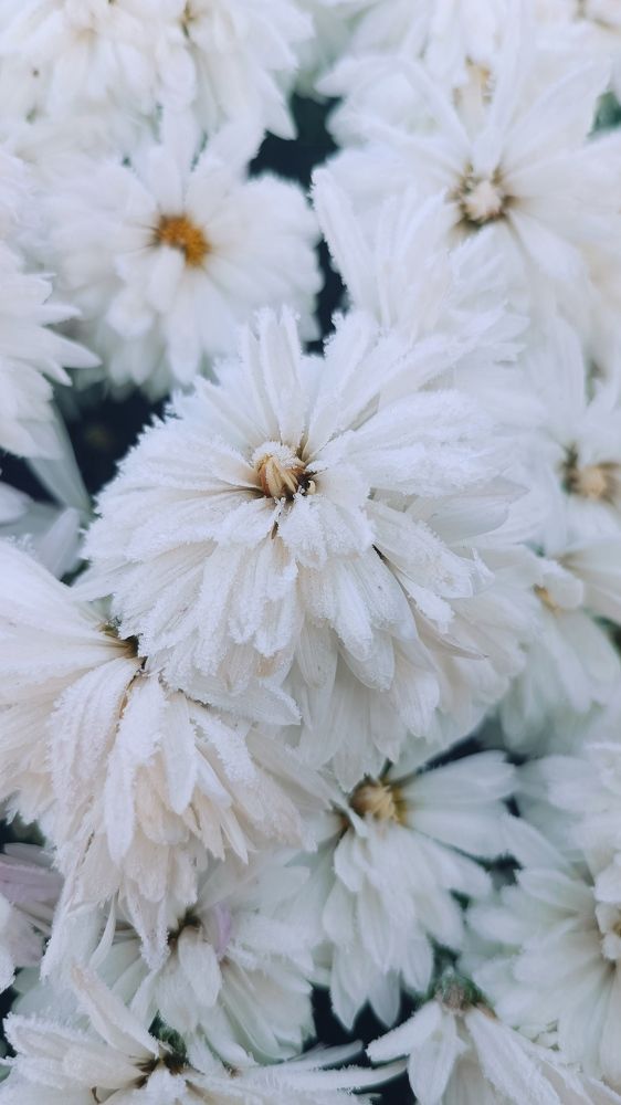 Photograph by Елена Фролова