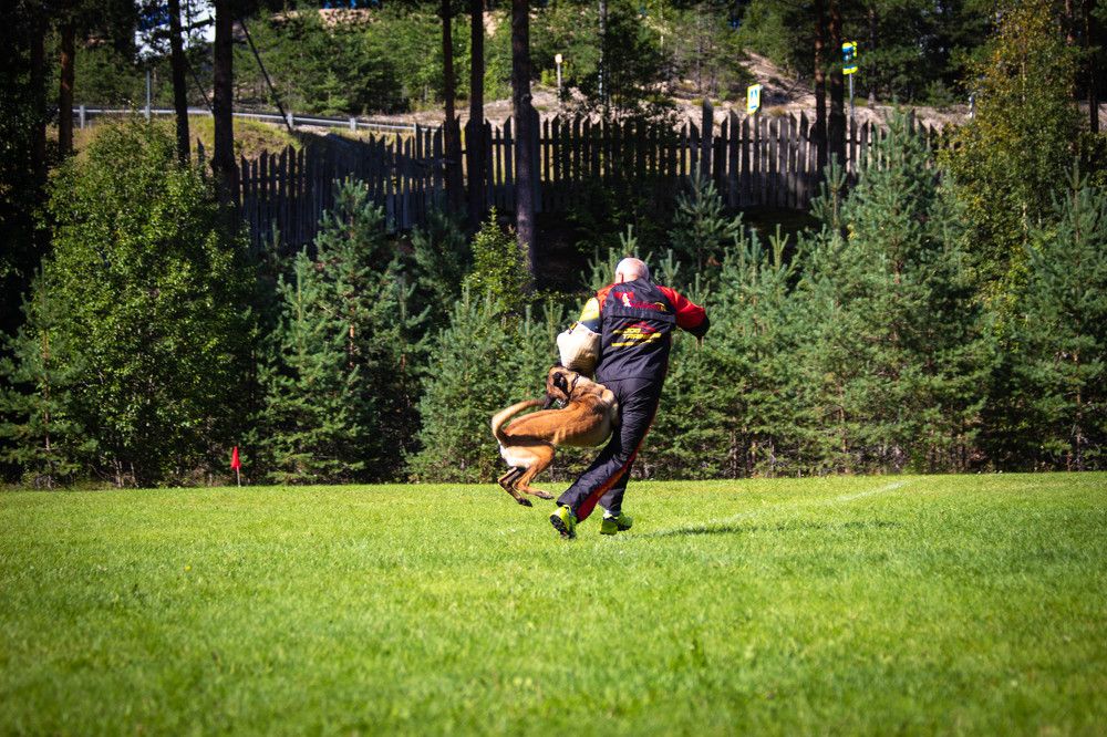 Photograph by Наталья