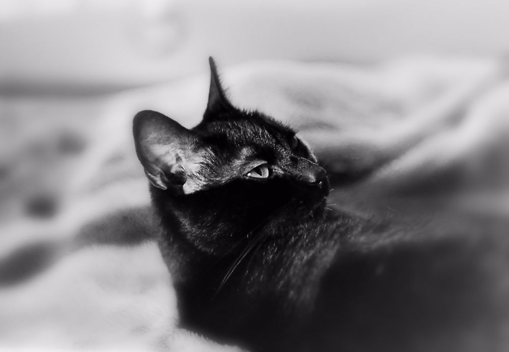Photograph by Vyacheslav Ushakov