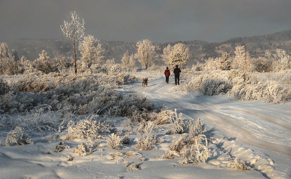 Photograph by Александр Попов