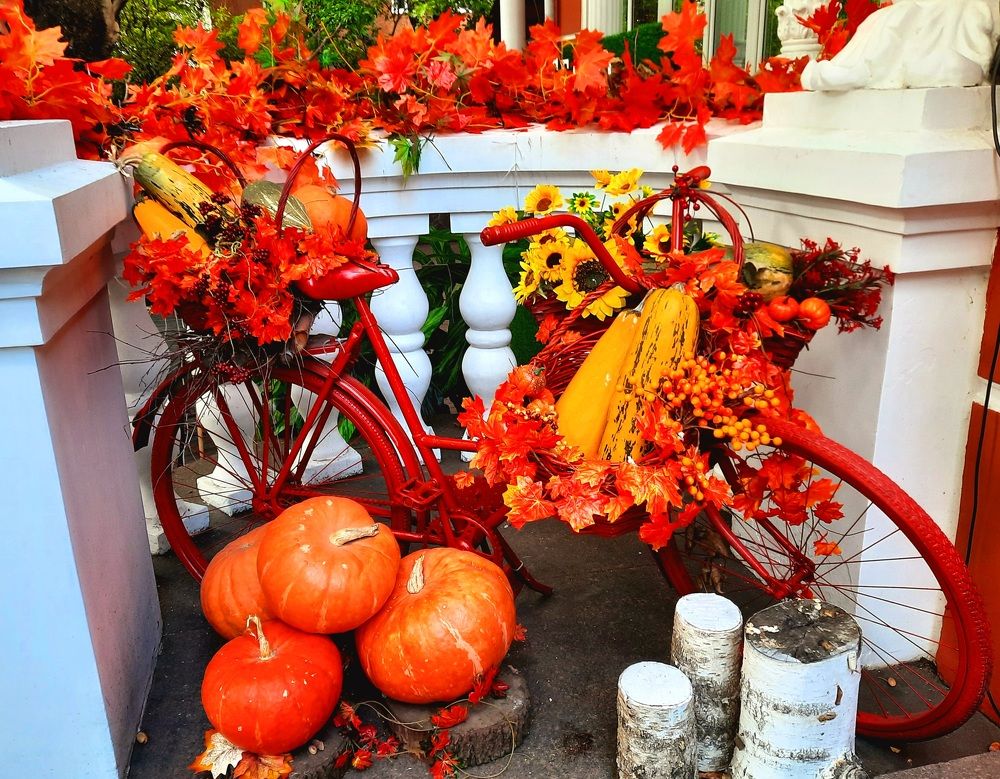 Photograph by Елена Симонова