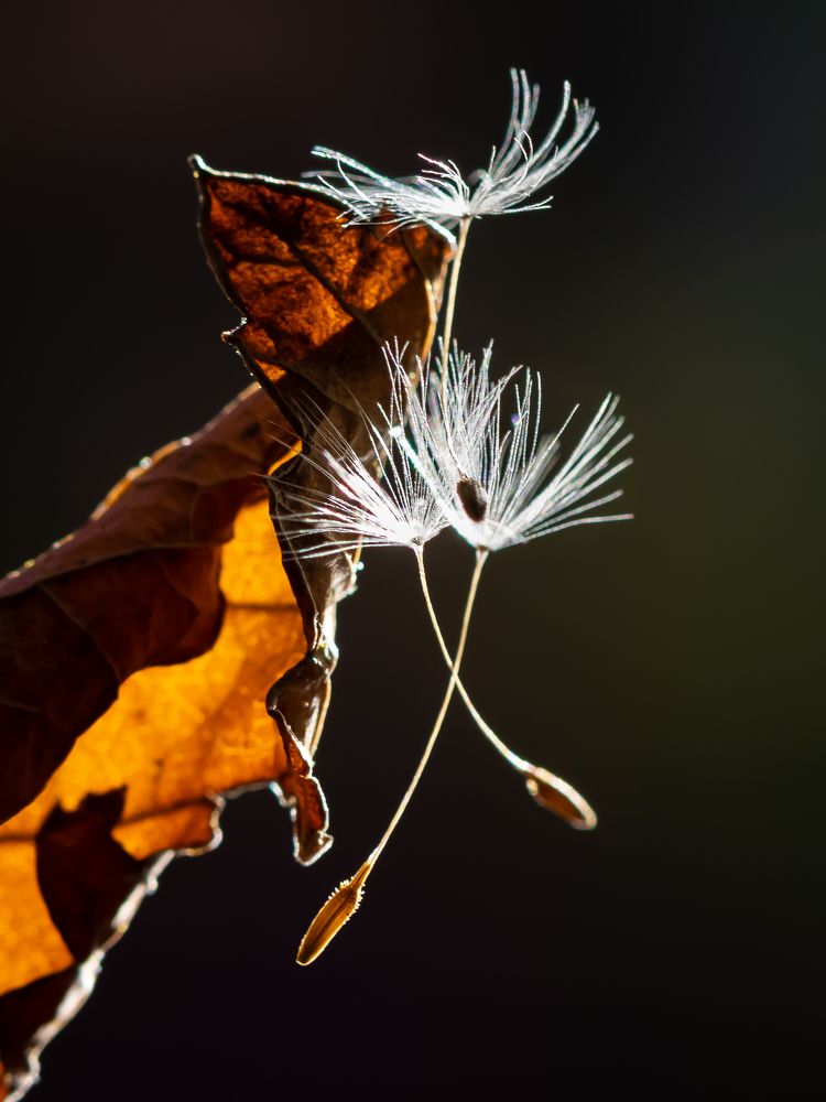 Photograph by Марина Новожилова