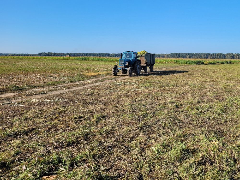 Photograph by Алексей Горин