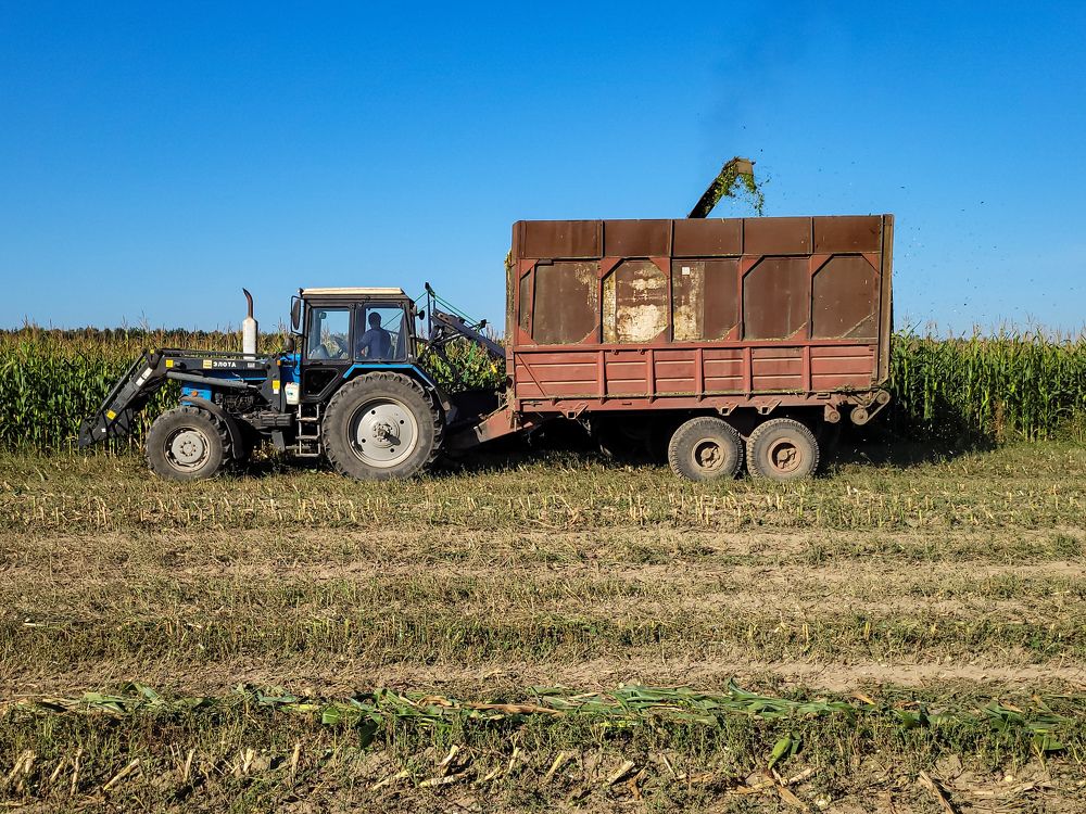 Photograph by Алексей Горин