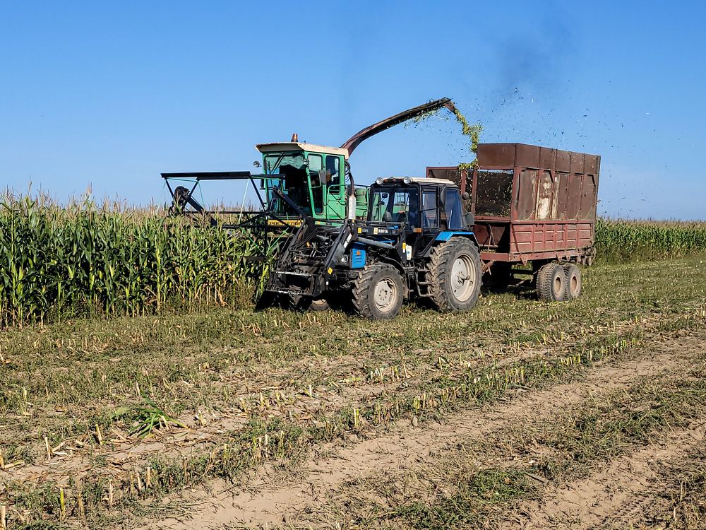 Photograph by Алексей Горин