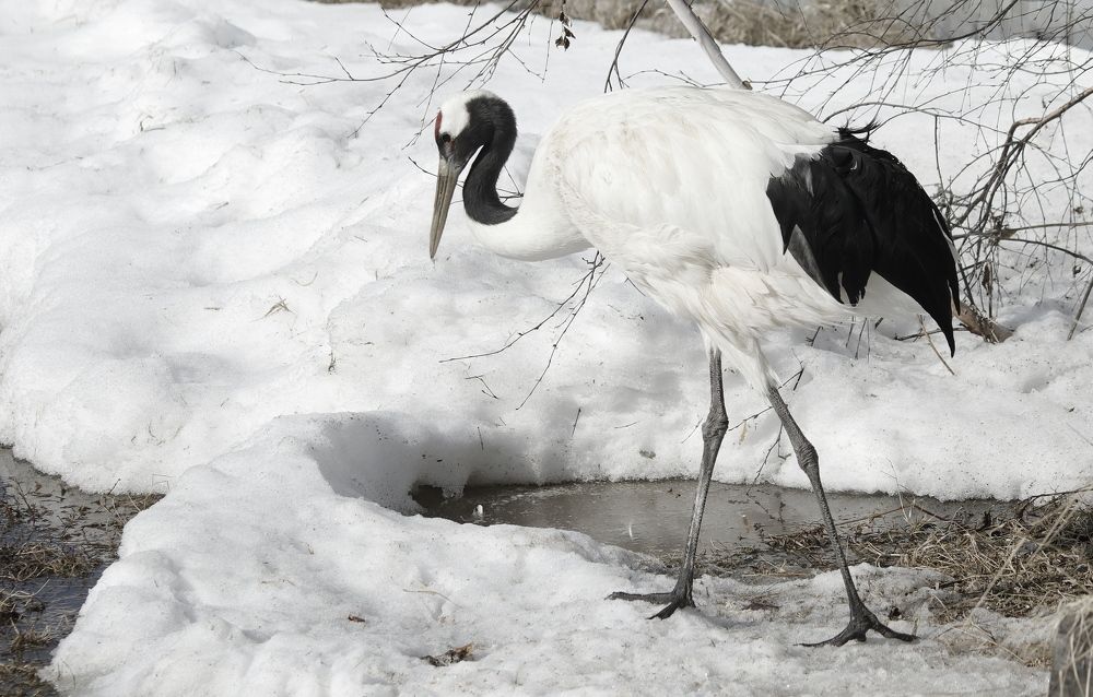 Photograph by Александр Велигура