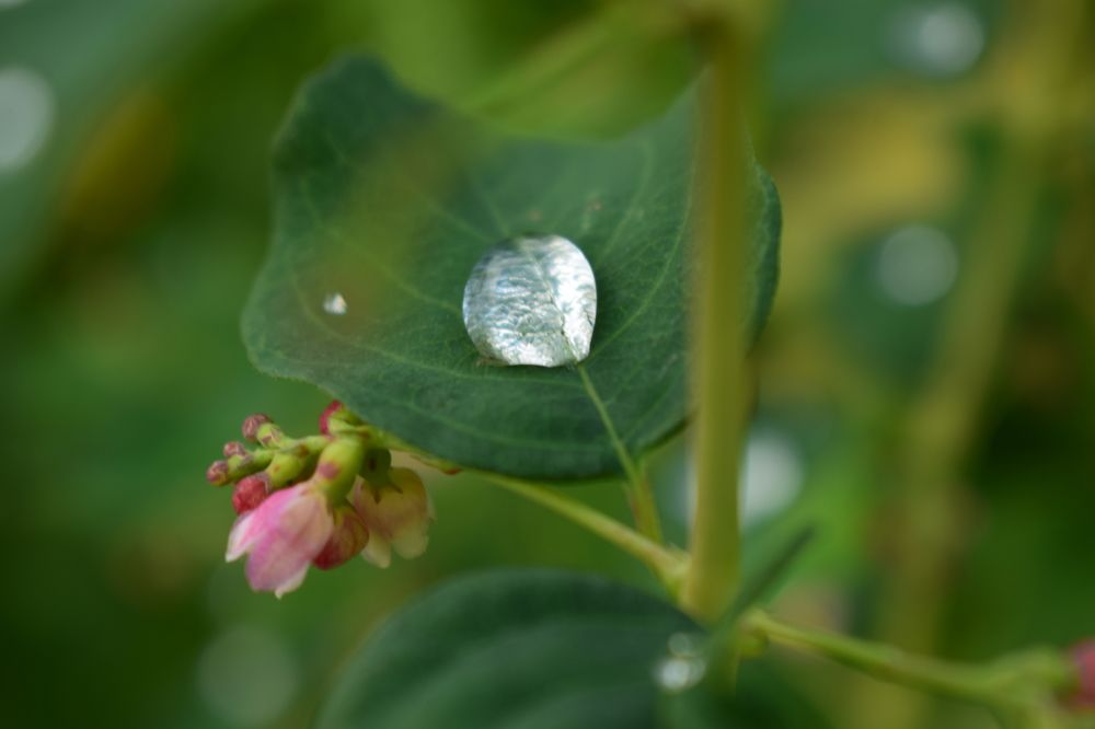 Photograph by Наталья Еременко