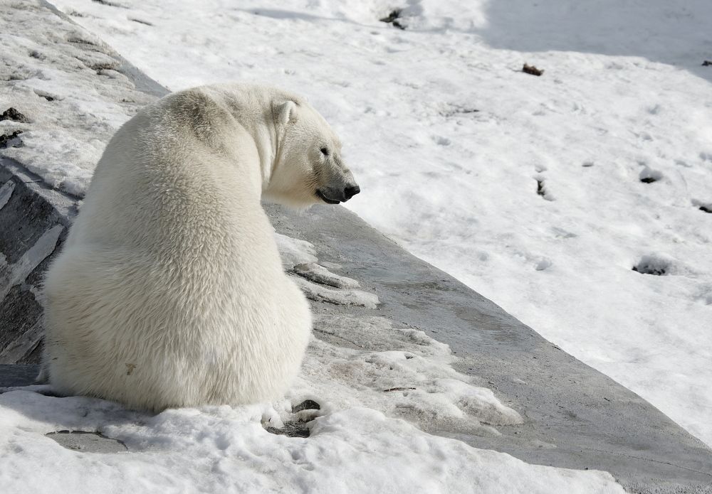 Photograph by Александр Велигура