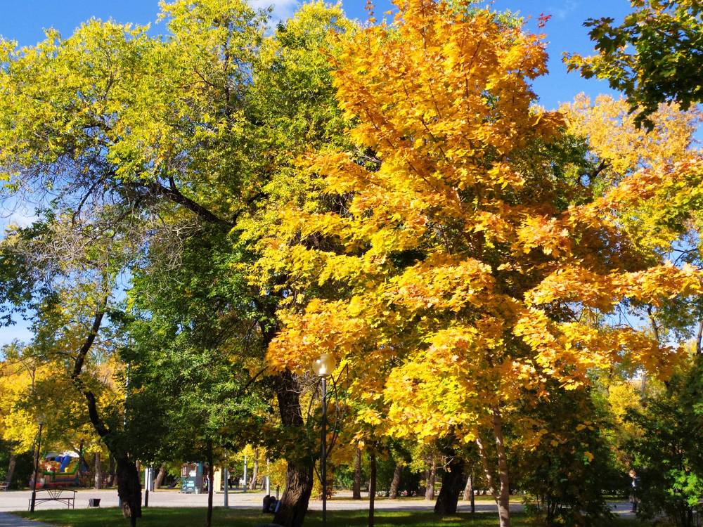 Photograph by Татьяна Клемба