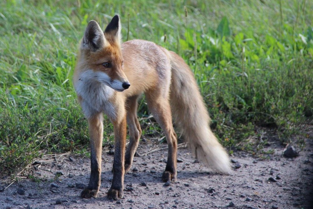 Photograph by Андрей Хитрун