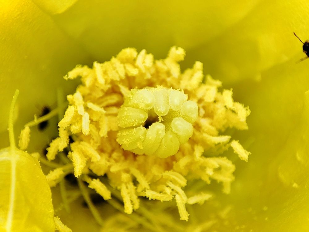 Photograph by Buddhika Dinuranga