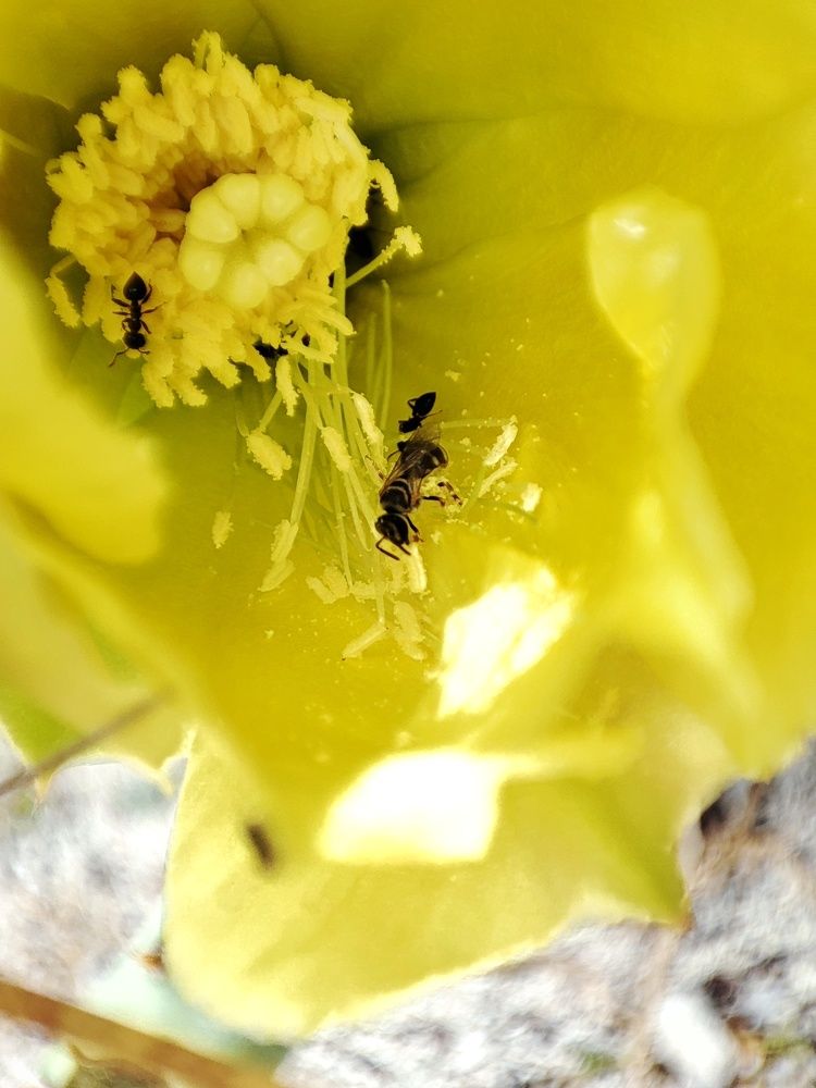 Photograph by Buddhika Dinuranga