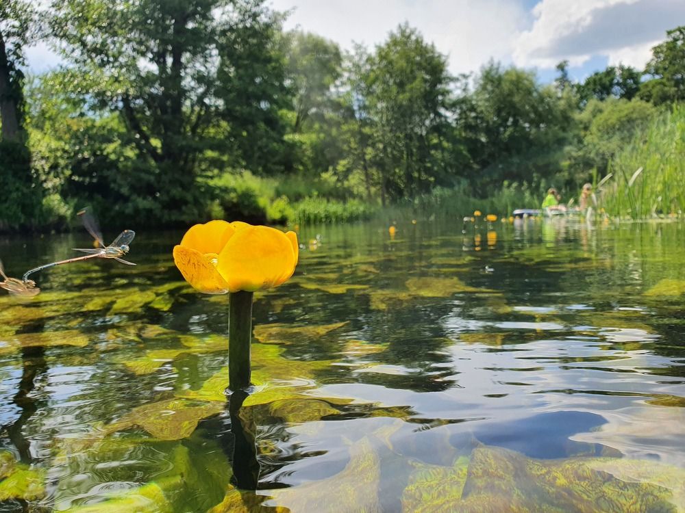 Photograph by Андрей Хитрун