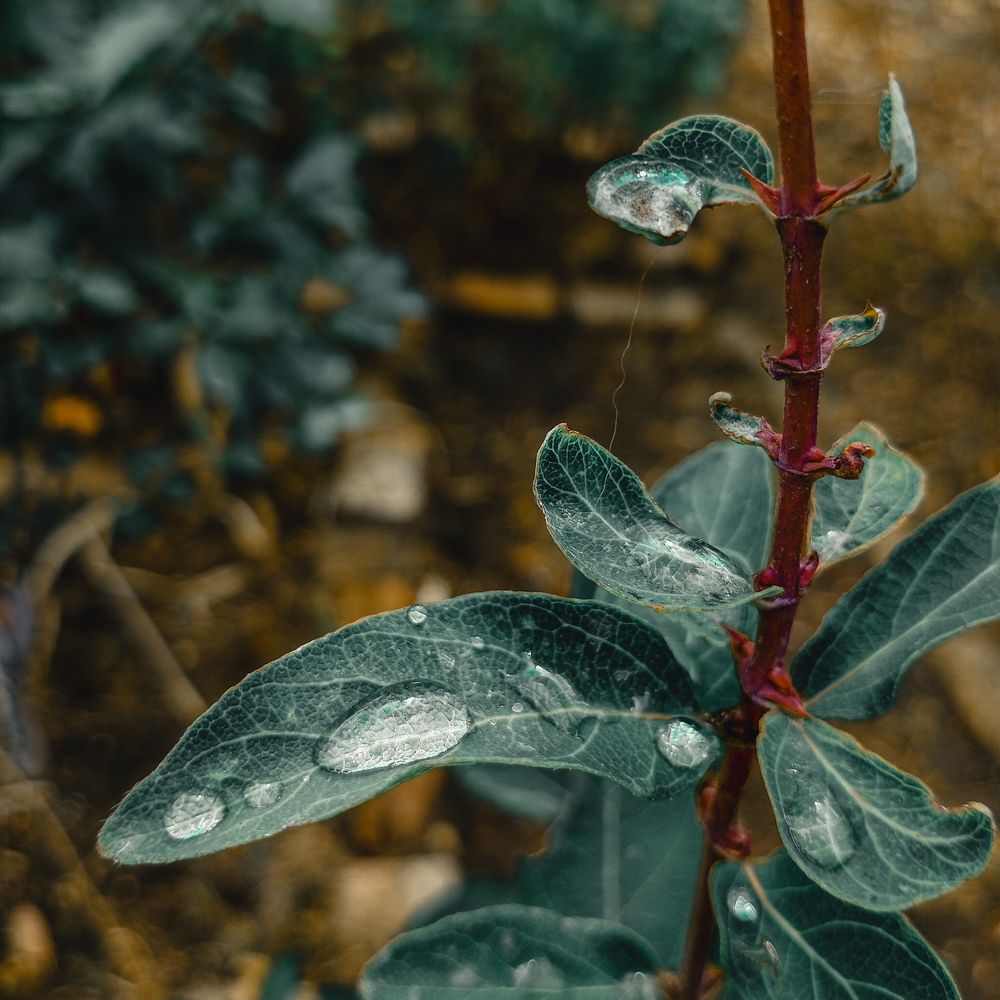 Photograph by Елена (Мори) Кузнецова