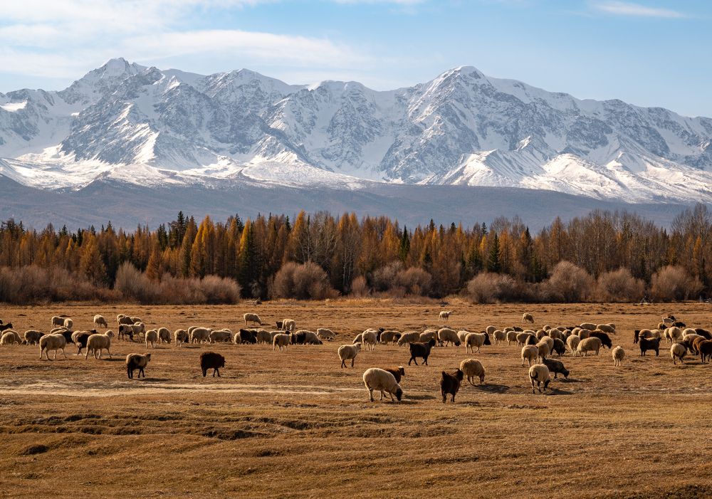 Photograph by Виктория Мишина