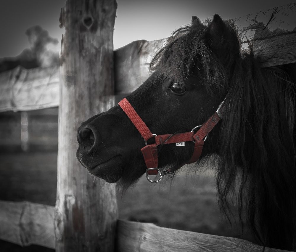 Photograph by Виктор Рыков