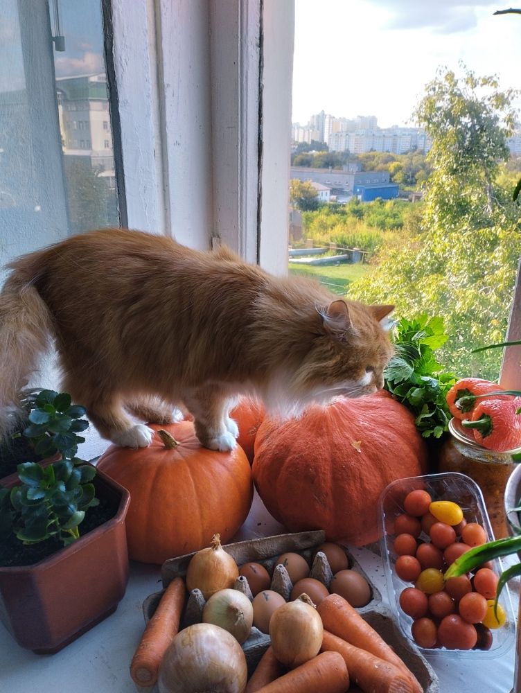 Photograph by Надежда Болтунова