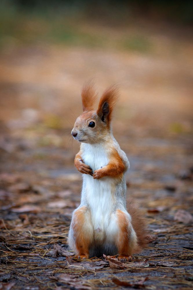 Photograph by Дмитрий Тимин