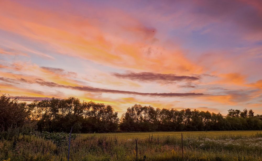 Photograph by Igor Medvedev