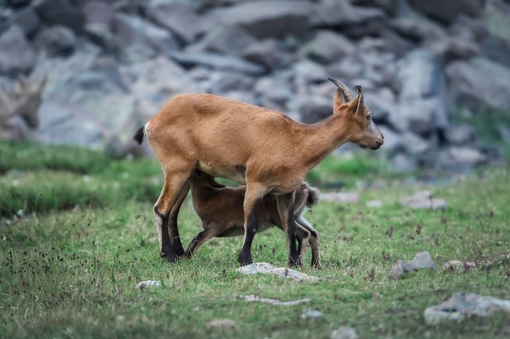 Фотография автора Vyacheslav Lozhkin