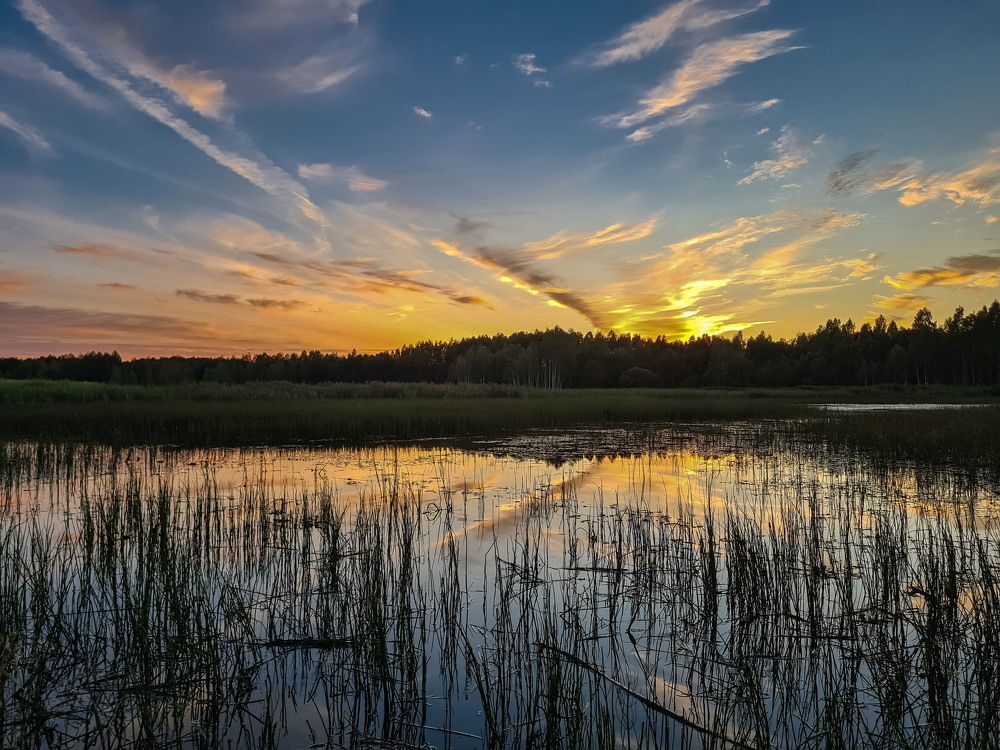 Photograph by Igor Medvedev