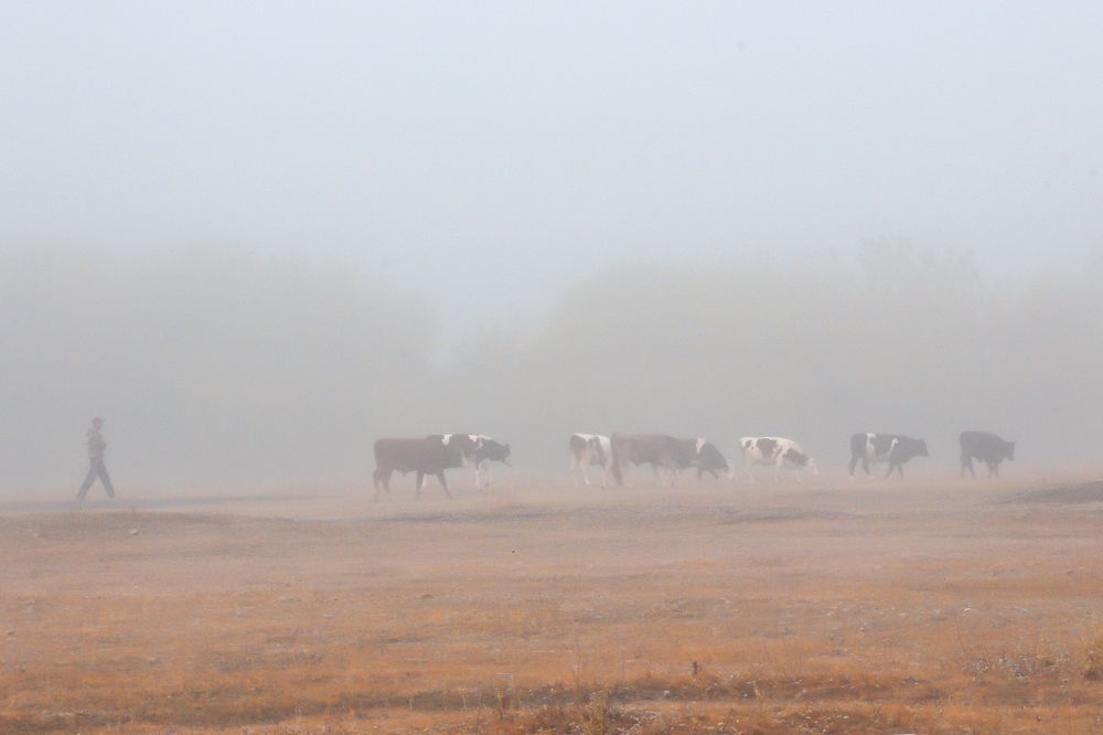 Photograph by Vitaliy Saposhnikov