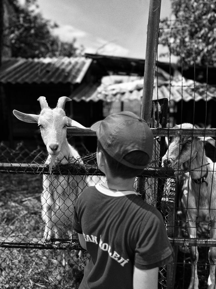 Photograph by Яна Сел