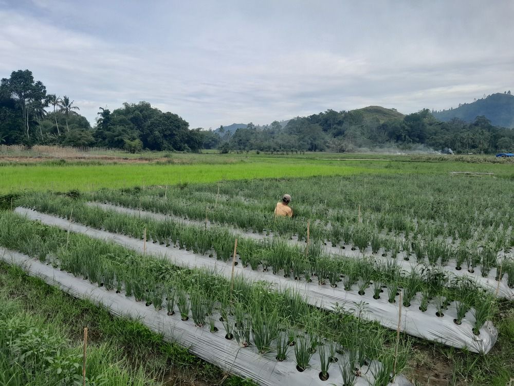 Photograph by M Adal