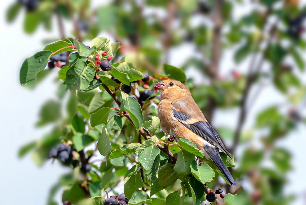 Photograph by Сергей