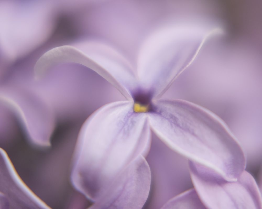 Photograph by ОЛЬГА КОВАЛЁВА