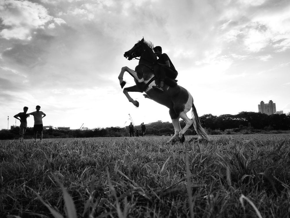 Photograph by Sai Bagal