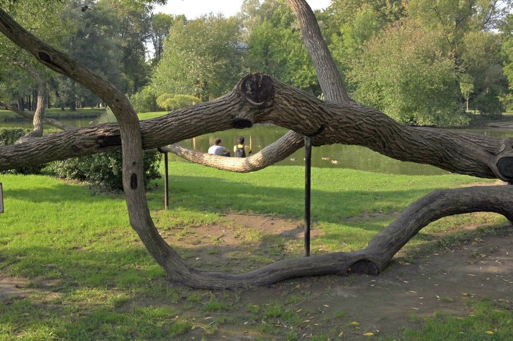 В лабиринте