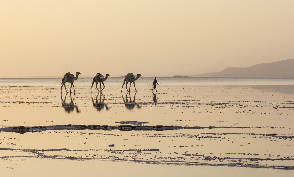 Photograph by Александр Михальянц