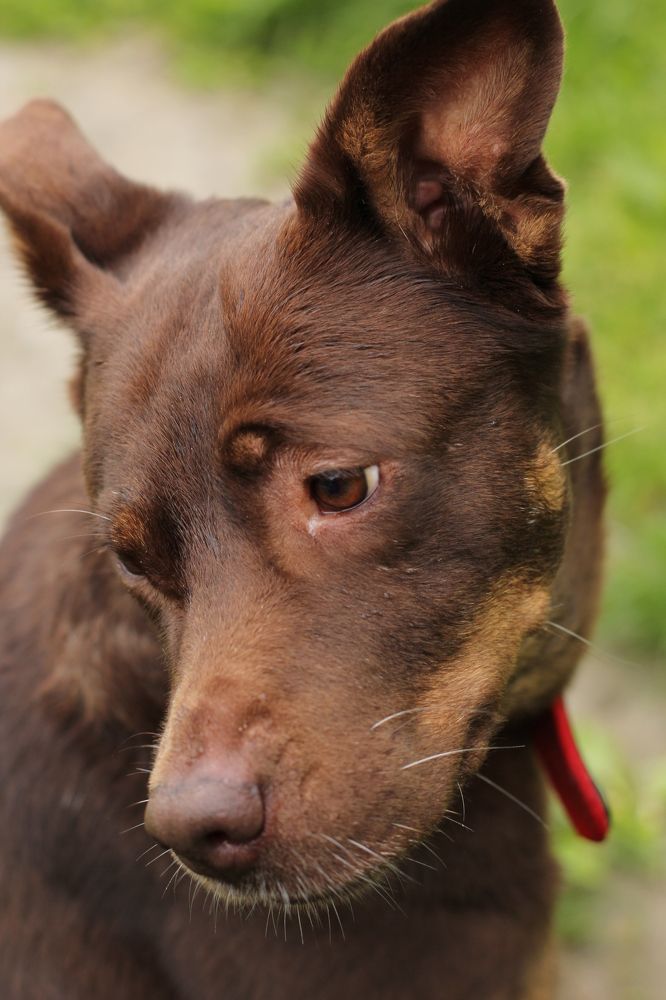 Photograph by Татьяна Лихачева