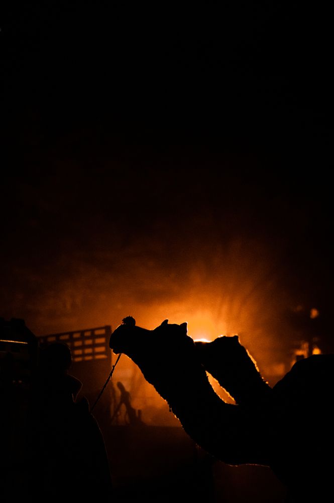 Photograph by Ashwani Thurwal