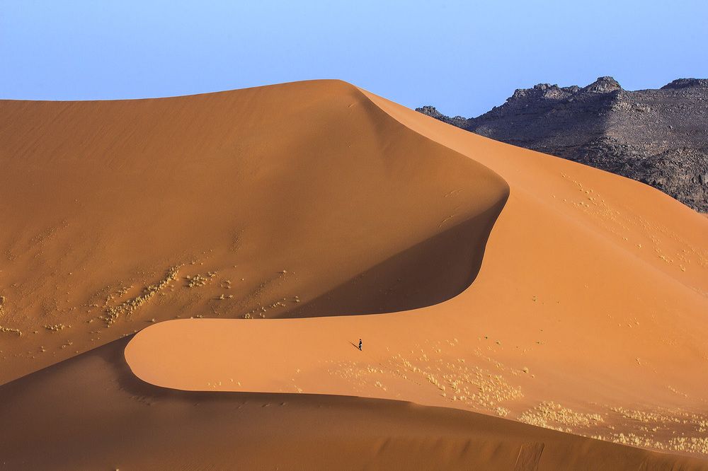 Photograph by Александр Михальянц