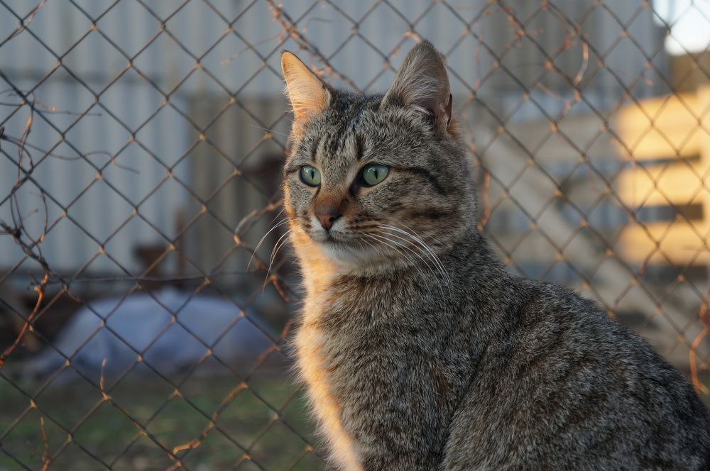 Photograph by Олег