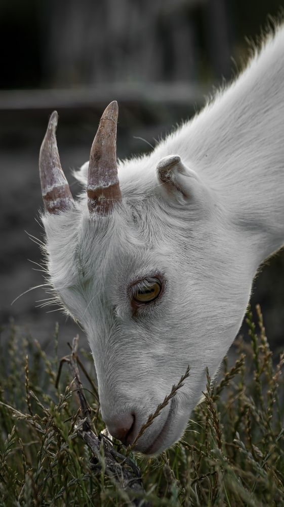 Photograph by Даниил Сырбу