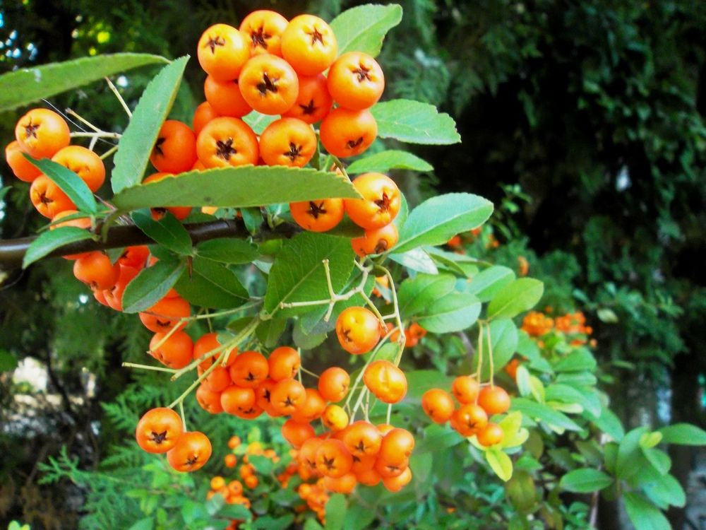 Photograph by Olga Vatkova